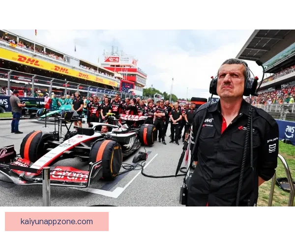 F1赛场聚焦马格努森赛季表现与未来发展前景分析